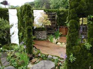 Как создать уютный уголок в саду с помощью декоративных растений