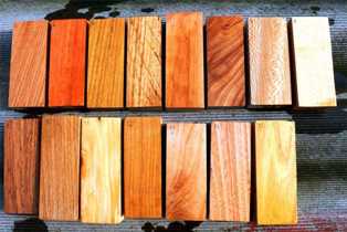Какие древесные породы лучше всего подходят для строительства дома?