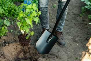 Лопата: подбираем правильную модель для работы в саду