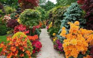 Садовые культуры: как выбрать и ухаживать за растениями