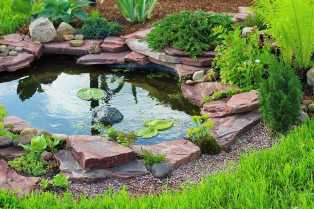 Садовые водоемы: создание гармоничных прудов и бассейнов в саду