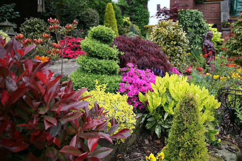 Вечнозеленые растения: идеальный выбор для украшения вашего сада