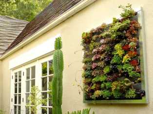 Вертикальный сад: идеи для оригинального озеленения стен и заборов