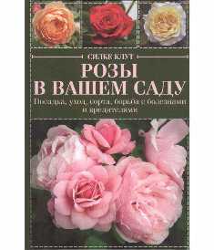 Розы: загадочные и романтичные цветы в вашем саду