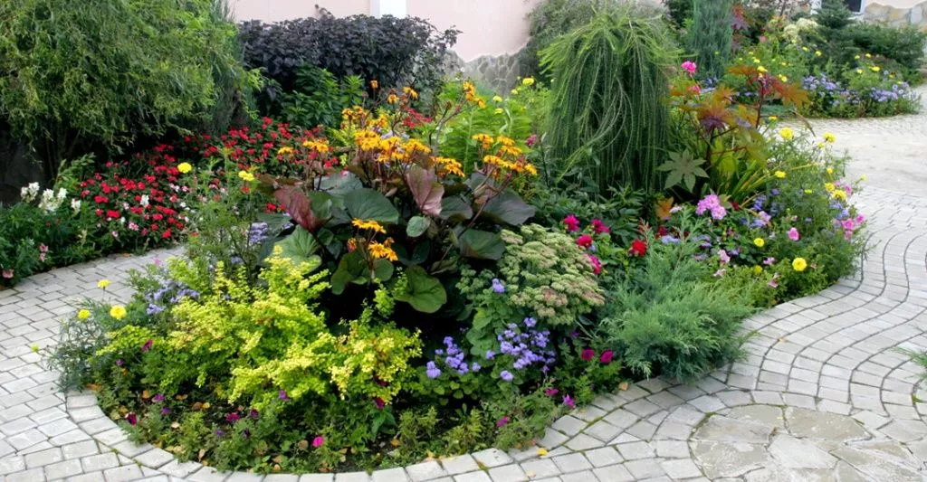 Ухоженный сад: основные правила выращивания и ухода за растениями